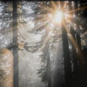 Meet your Posher, Sunny